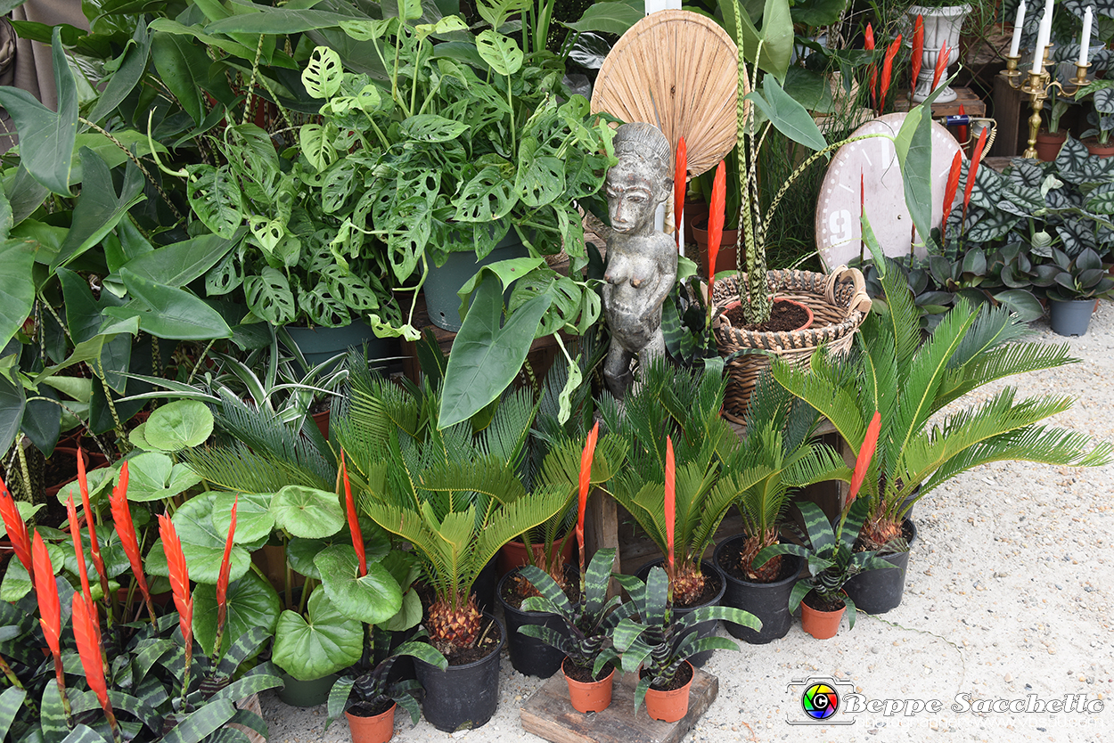 VBS_3422 - Floreal 2023 - Vivere con le piante.jpg